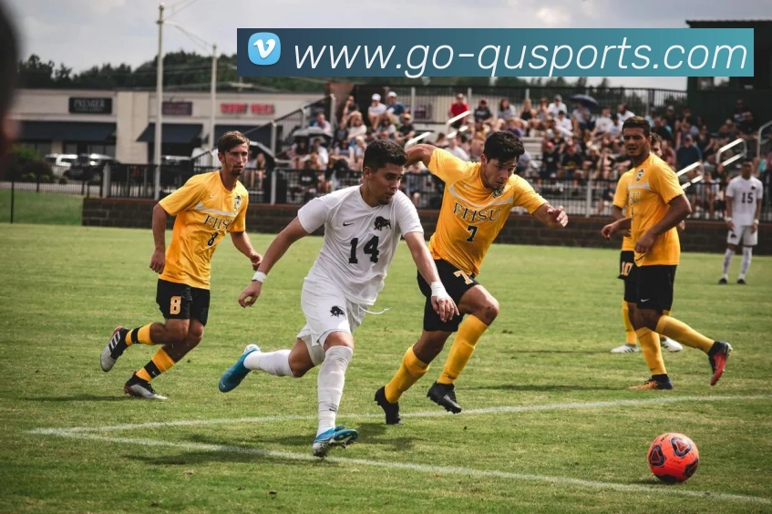 趣体育发展历程