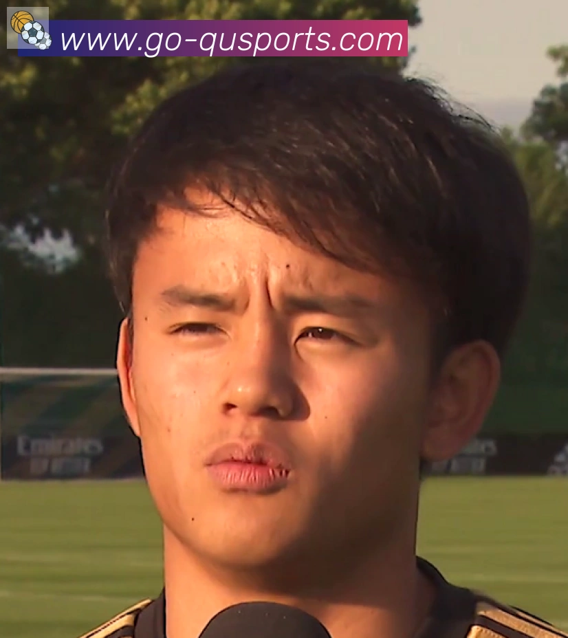 维尼修斯